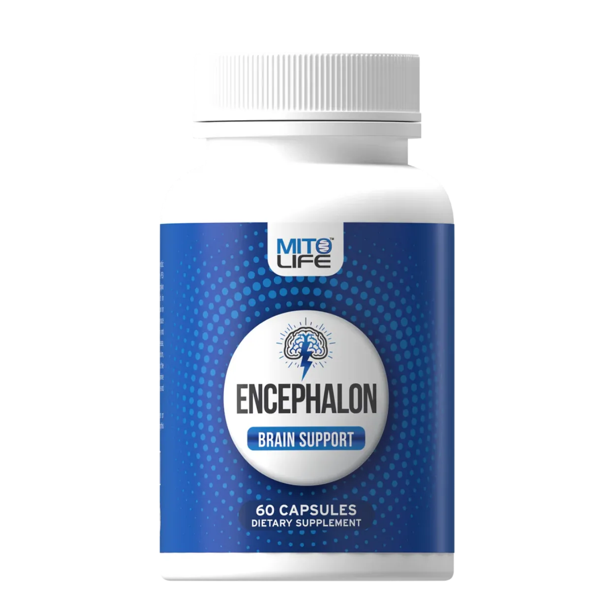 Encephalon