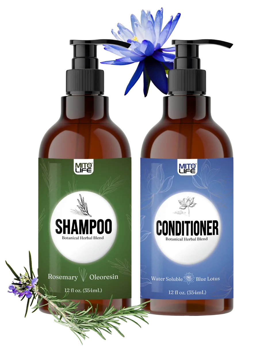 Haircare — photo 1 of 5