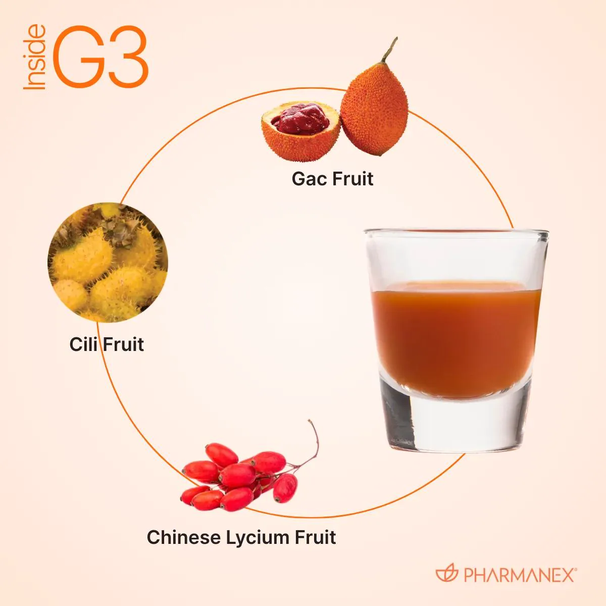 g3 Juice — photo 3 of 3